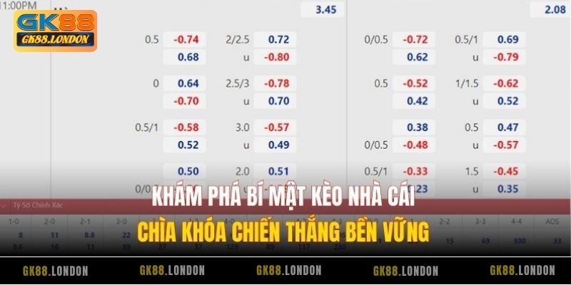 Khám Phá Bí Mật Kèo Nhà Cái – Chìa Khóa Chiến Thắng Bền Vững